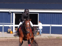 IMG_7046_web